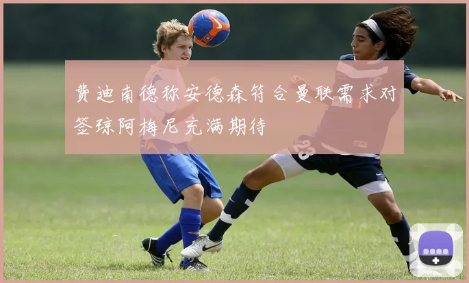 费迪南德称安德森符合曼联需求对签琼阿梅尼充满期待