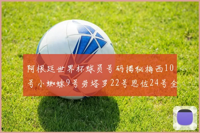 阿根廷世界杯球员号码揭秘梅西10号小蜘蛛9号劳塔罗22号恩佐24号全解析