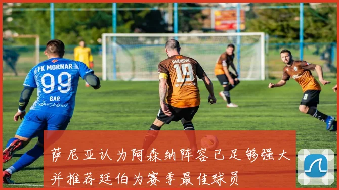 萨尼亚认为阿森纳阵容已足够强大并推荐廷伯为赛季最佳球员